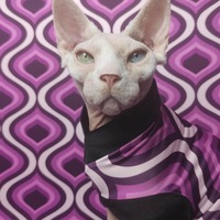 Violet Beauregarde - Thumbnail 1