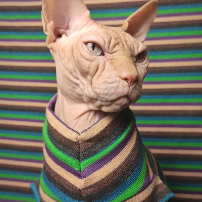 Summer vacation sweaterknit - Thumbnail 3