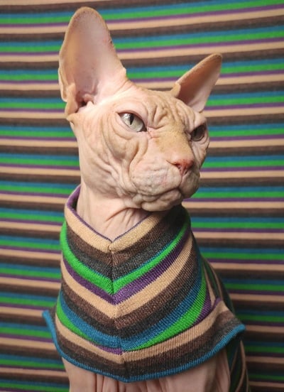 Summer Vacation Sweaterknit