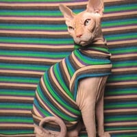 Summer Vacation Sweaterknit - Thumbnail 1