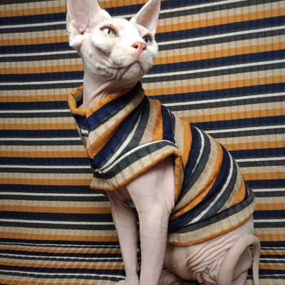 Golden sweaterknit - Thumbnail 4