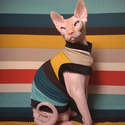 Thick stripes ribbed for her pleasure  - Thumbnail 3