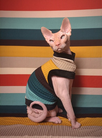 Thick Stripes Ribbed For Her Pleasure 