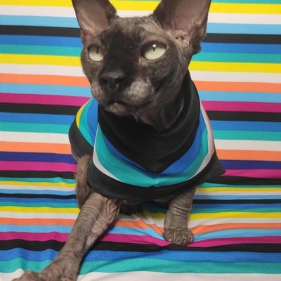 Thin stripes - Thumbnail 3