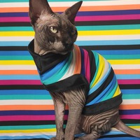 Thin Stripes - Thumbnail 1