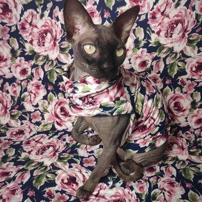 Rose garden - sleepwear - Thumbnail 5