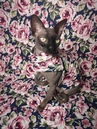 Rose Garden - Sleepwear