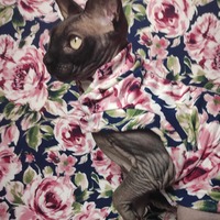 Rose Garden - Sleepwear - Thumbnail 1