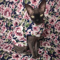 Rose Garden - Sleepwear - Thumbnail 2