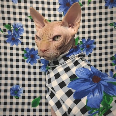 Blue check - sleepwear - Thumbnail 4