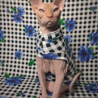 Blue Check - Sleepwear - Thumbnail 2