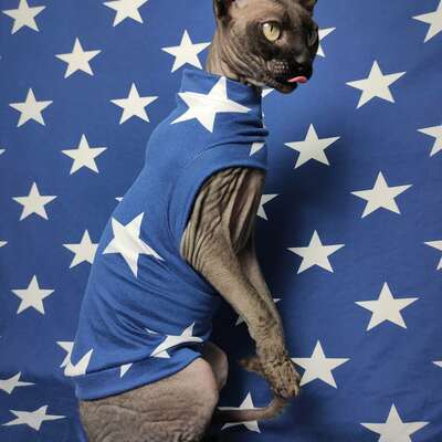 Seeing stars  - sleepwear - Thumbnail 4