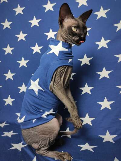 Seeing Stars  - Sleepwear