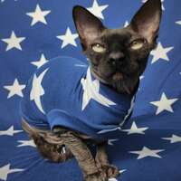 Seeing Stars  - Sleepwear - Thumbnail 2