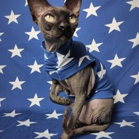 Seeing Stars  - Sleepwear - Thumbnail 1