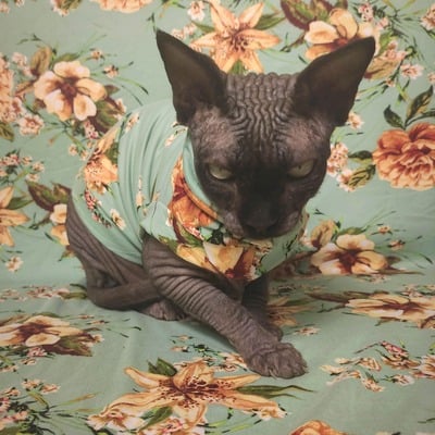 Stargazing  - sleepwear - Thumbnail 4