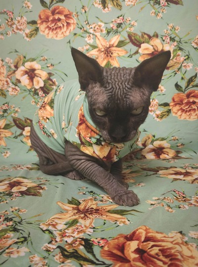 Stargazing  - Sleepwear