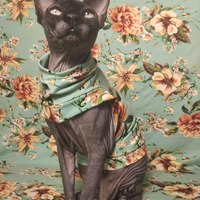 Stargazing  - Sleepwear - Thumbnail 1