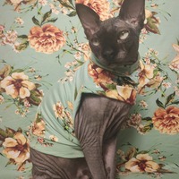 Stargazing  - Sleepwear - Thumbnail 2