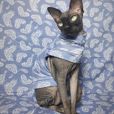 Paisley - sleepwear - Thumbnail 5