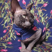 Da Vine - Sleepwear - Thumbnail 1