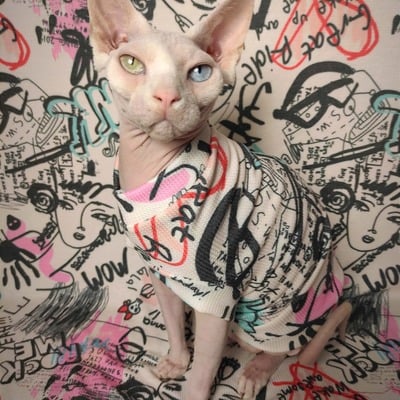 Sketchbook thermal - Thumbnail 3