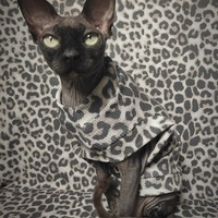 Leopard Thermal - Thumbnail 1
