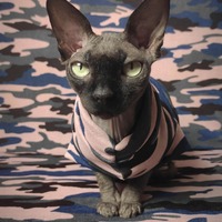 Blue & Pink Camo - Thumbnail 2