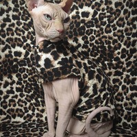 Change My Spots - Thumbnail 1