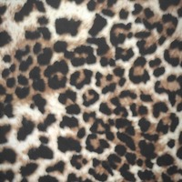 Change My Spots - Thumbnail 3