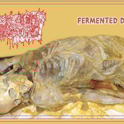 Purulent remains - “fermented death” cd
