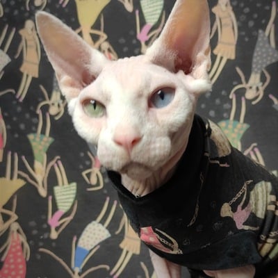 It's raining women! - Thumbnail 3