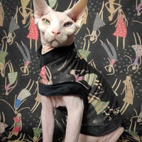 It's Raining Women! - Thumbnail 2