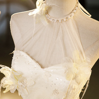 Champagne Halter Tulle Long Ball Gown, Beautiful A-Line Prom Dress - Thumbnail 1