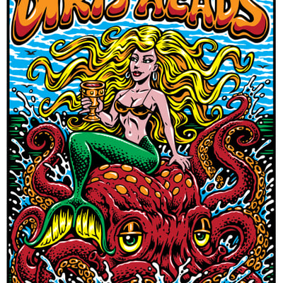 Dirty heads, boston 18x24 screenprinted poster (ap signed and numbered)
