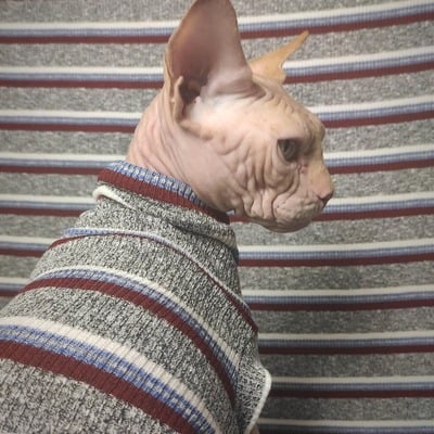 The collegiate ribbed for her pleasure  - Thumbnail 3