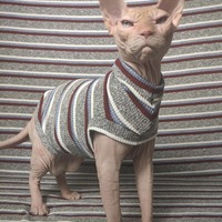 The Collegiate Ribbed For Her Pleasure  - Thumbnail 2