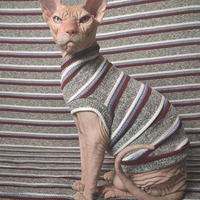 The Collegiate Ribbed For Her Pleasure  - Thumbnail 1