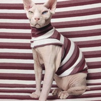 Marooned Ribbed For Her Pleasure  - Thumbnail 2