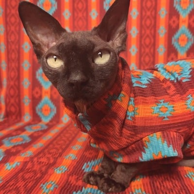 Los alamos ribbed for her pleasure  - Thumbnail 3