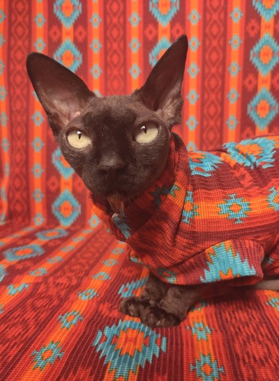 Los Alamos Ribbed For Her Pleasure 