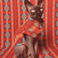 Los Alamos Ribbed For Her Pleasure  - Thumbnail 2