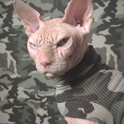 Camo ribbed for her pleasure  - Thumbnail 4