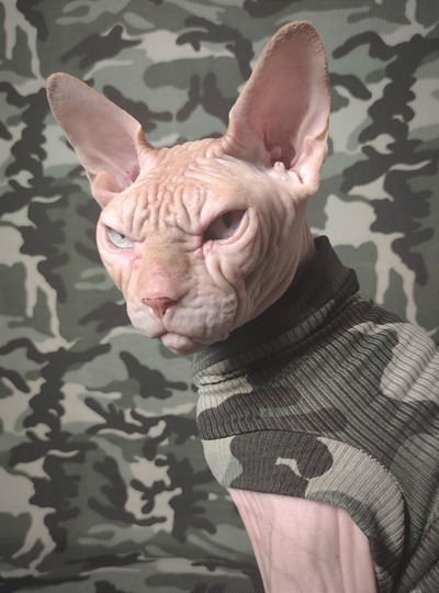 Camo Ribbed For Her Pleasure 