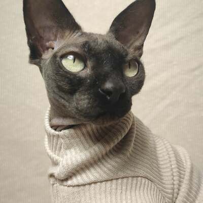 Bone ribbed for her pleasure  - Thumbnail 4