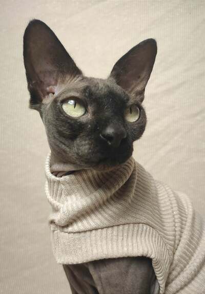 Bone Ribbed For Her Pleasure 