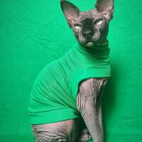 Verdant Ribbed For Her Pleasure  - Thumbnail 1