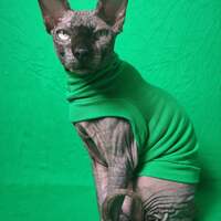 Verdant Ribbed For Her Pleasure  - Thumbnail 2