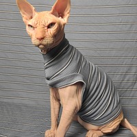 Blue Steele Ribbed For Her Pleasure  - Thumbnail 2