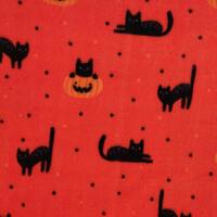 Black Cats - Thumbnail 3